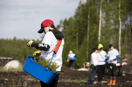 young person planting trees