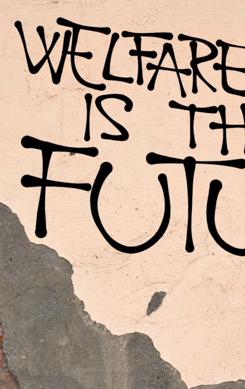 Welfare is the future