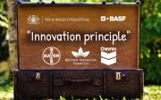 innovation principle